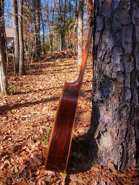 Crystal Forest Steel String Acoustic Guitar