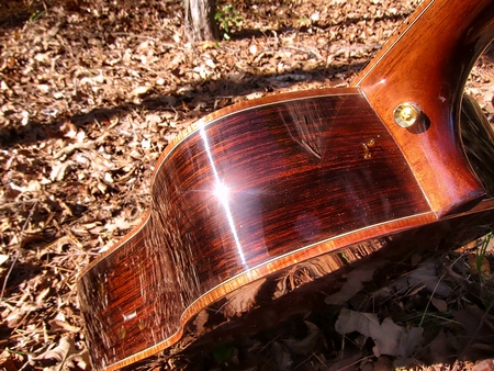 Crystal Forest Steel String Acoustic Guitar