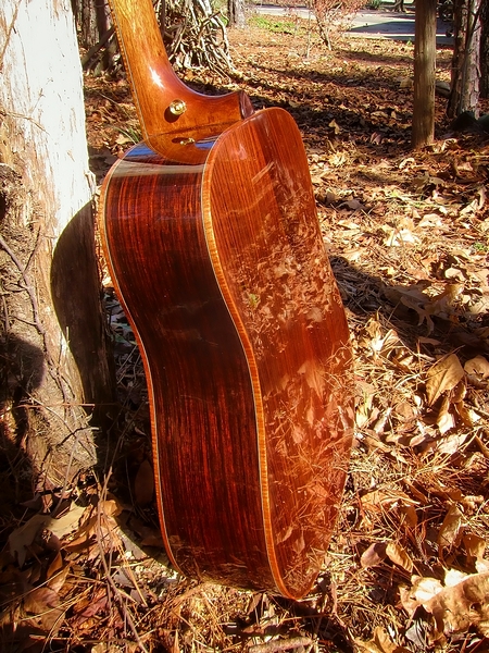 Crystal Forest Steel String Acoustic Guitar