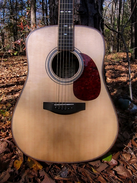 Crystal Forest Steel String Acoustic Guitar