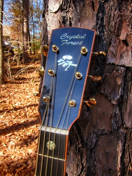 Crystal Forest Steel String Acoustic Guitar