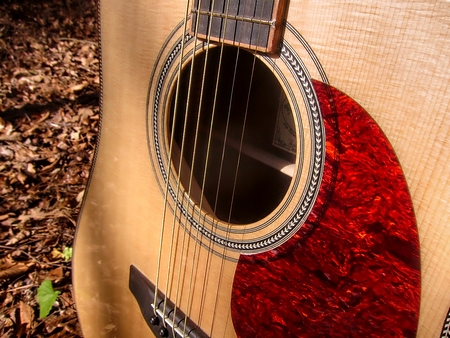 Crystal Forest Steel String Acoustic Guitar